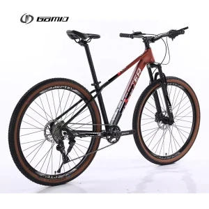 10 12 Speed Bisiklet OEM Bicicleta Gear Cycle for Man XC MTB Hydraulic Groupset Velo 29 Inch Mountain Bike Custom Bicycle