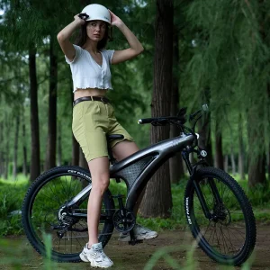 100 km Range Electric Bicycle, 48V, 2-Speed Hybrid City Mountain Off-Road E-Bike with Fat Fenders