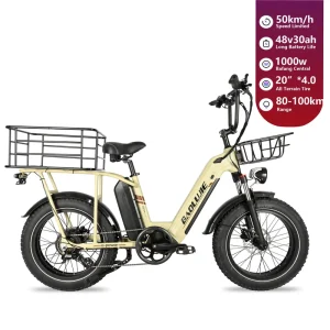 1000 Watt 48 Volt 20inch Adult Electric Cargo Bike 50km h All Terrain Electric City Bike Pedal Assist With Basket