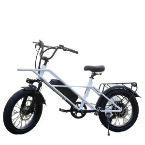 Electric Hybrid Bicycle, 1000 W Motor, Tires, Disc Brakes, Adult City and Outdoor Riding Electric Road Bike