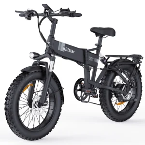 1000W 20 Inch City Ebike Fat Tire Electric Bike With Aluminum Alloy for Outdoor Beach Mountain and Snow Bicycle Cycling