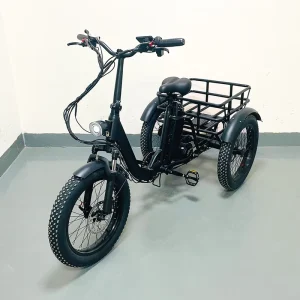 1000W 48V 23Ah Fat Tire Electric Cargo Tricycle 3 Wheel Electric Bike Mini Folding Electric Tricycle Cargo for Adults