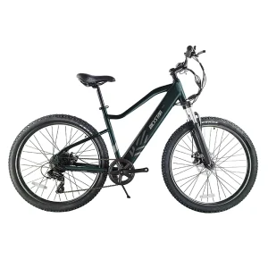1000W 48V Electric Hybrid Bicycle, Electric Bike for Adults