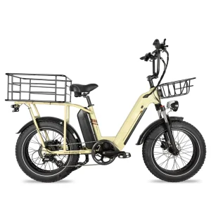 1000W 48V Lithium Battery Electric Fat Tire Mountain Bike Front Hub Motor Aluminum Frame Disc Brakes Full Suspension Long Range