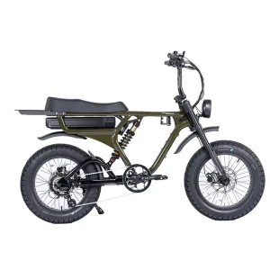 1000W 52V Brushless Front Suspension Electric Fat Tire Bike 20inch Hydraulic Disc Brake 7 Speed Aluminum Alloy Mountain