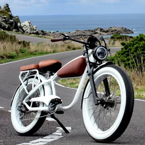 1000W Retro-Style Cruiser Fat-Tire Bicycle, Long-Range Retro Fat-Tire Electric Delivery Bike, E-Bike