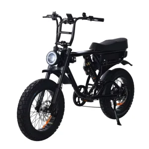 1000W Electric Bike Adult E Bike 20Inch Tire Off Road Fatbike City Electric Bicycle Mountain E Bikes with Removable Battery