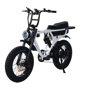 1000W Electric Fat Tire Bike with Strong Rear Hub Motor GPS Customizable Aluminum Alloy Built for Terrain