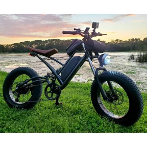 1000W Fat Tire Mountain Bike Off-road Fat Tire Electric Bike Electric Bikes for Adults