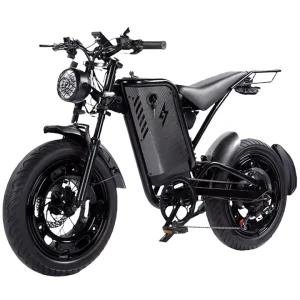 1000W High Speed Motor Adult Electric Bicycles Wide Wheels Scooter Electric Motor Bike