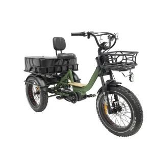 1000W Mid Electric Tricycle with 48V Lithium Battery Cargo Trike Fat Tire 3-Wheel Bike Central Motor