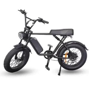 1000W Retro E Bike Dirt Mountain Fat Tire Bicycle Electric Bike