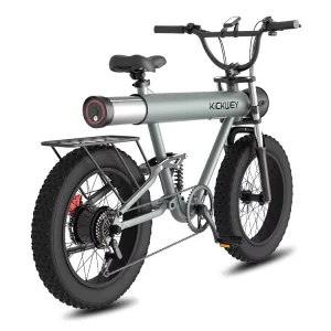 1000w Big Power Fat Tire Electric Mountain 500w Motor Extend Dirt Fat Tire Electric Sports Bike for Adults