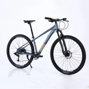 10Speed Mountain Bike Bicycles Disc Brake 29inch Mountain Bike 26/24 Mtb for Adults Men