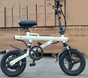 14 Inch 400W Power Electric City Bike Fat Tire Mountain Folding E-Bike with Alternative 36V Lithium Battery