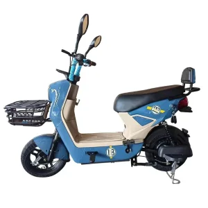 14 Inch Fat Tire 350W Electric City Bike 48V 12A Battery Ebike 500W Electric Motorcycle Long Seat Steel 3-speed Electric Bicycle