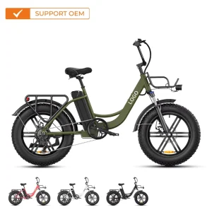 140 km Long-Range 20-Inch Fat E-Bike Direct-Drive Electric Bicycle with 48V Battery Supply, Electric Mountain/City Hybrid Bicycle, OEM/ODM