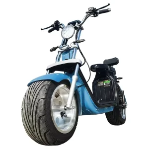 1500 W 60V Electric Bike Foldable E Scooter Two Wheel with Full Suspension Portable E Bike for Adults