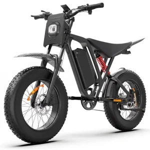 1500W 52V25Ah Fat Tire Electric Mountain Bike 20 Inch Adult Hybrid Off-Road Bike 7 Speed Aluminum Alloy Frame