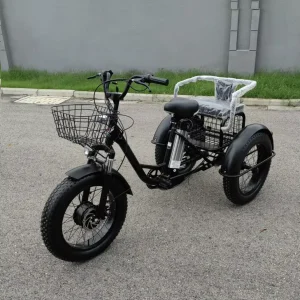 15Ah Battery 20 Inch Fat Tire Electric Trike 500W Motor Three Wheel Cargo Bicycle with Seat