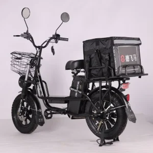 16 Inch Electric Bike Cargo Freight Courier Food Delivery 60V 21Ah 30Ah Fat Tire Hybrid Long Range 800W 1000W