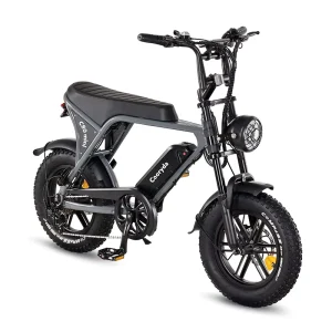 16 Inch Fat Tire Ebike C80 Mini Electric Mountain Fatbike EU Electric Bike