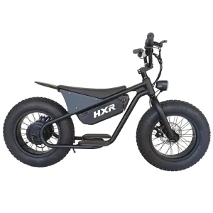 16 Inch Fat Tire Electric Balance Kids Bike for Children