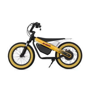 16 Inch Kids Electric Bike with Removable 24V Lithium Battery Fat Tire Disc Brake Steel Fork Pedal Bicycle for Children