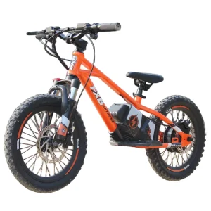 16inch 350W Electric Balance Bike Bicycle Electric Two Wheel 36v5ah Toy Bike Outdoor Sport Electric Bike