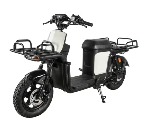 16inch 48V 60V 1000W Electric Cargo Motorcycle Commercial Delivery E Bike Style
