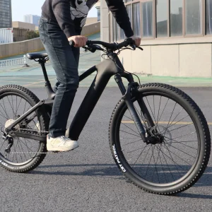 17-21kg Carbon Fiber Bicycle 29 for Adults MTB 29 Mountain Bike Carbon EMTB 29