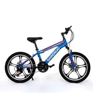 18 20 22 Inch 21 Speed High Carbon Steel Teenager Children Bicycle Children Mountain Bike