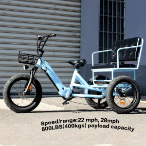 2 Seater Adult 3 Wheel Electric Bike 750W Brushless Motor 48V21AH Battery 20″ Fat Tire 800LBS Payload 28mph Passenger E Tricycle