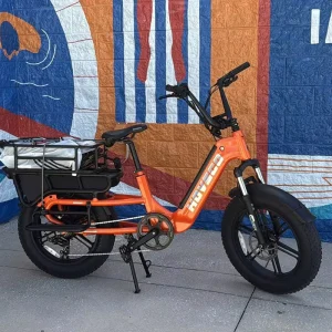 2 Whee Long Tail with Basket City Fashion Fat Tire Ebike Motor 500W E cargo Family E Bicycle Electric Cargo Bike EU Stock