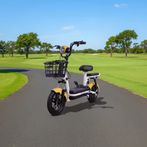 2 Wheel Adult Electric Bike 48V 350W Brushless Motor Carbon Steel Frame Long Range Moped Digital 3-Speed