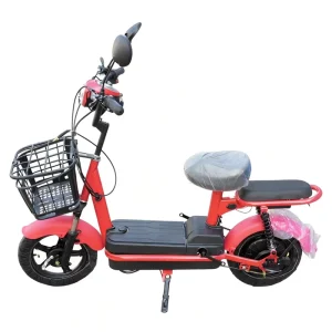2 Wheel Adult Electric Bike Economical Electric Motorcycle for Women