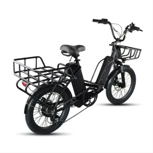 2 Wheel Cargo Bikes Electric Cargo Bike Family 13Ah Swappable Lithium Battery Electric Bike Cargo