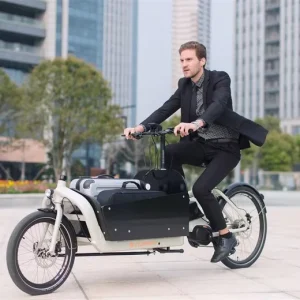 2 Wheel City Bike Cargo Bike Bicycle with Front Box Bakfiets Electric Cargo Bike Dutch