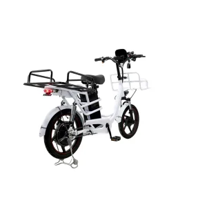2 Wheel Electric Cargo Bike