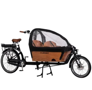 2 Wheel Electric Cargo Bike for Family Euro Style
