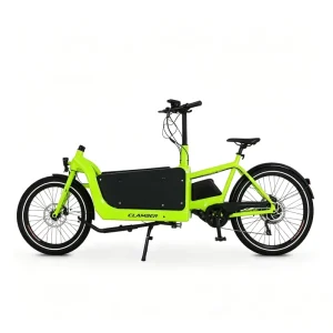 2 Wheel Electric Family Cargo Bike Bakfiets Style Heavy Duty 180KG Load Cargo Bicycle for Multi-kid Family & Small Business