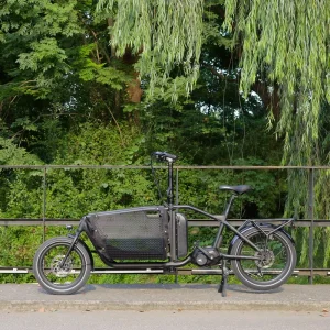 2 Wheel Fashion Electric Cargo Bike Alloy Frame Long Range for Family