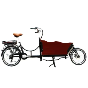 2 Wheel Motorized Bike Electric Cargo Trike Cargo Bike