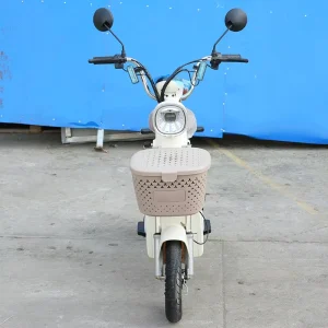 2-Wheelers Adult Electric Motorcycle 60km Long Range Electric City Motorcycle
