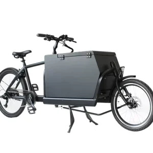 2 Wheels Cargo Bike Long John Box Bike