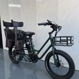 2 wheels Electric cargo bicycle cargo bike for Child dutch warehouse family bike 24 Wheel Size Electric Bike