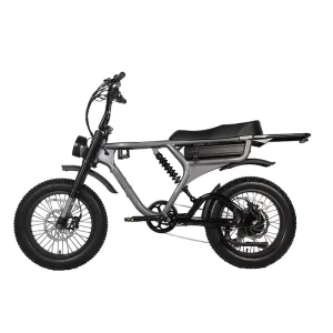 Customizable Hybrid 20-Inch Full-Suspension Mountain Off-Road Bike with 1000W Bafang Motor and Lithium Battery Power, Fat Tires