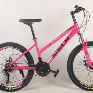 20 24 26 27.5 Inch Mountain Bike 21 24 27 Speed Men’s and Women’s Double Disc Brakes Spring Fork