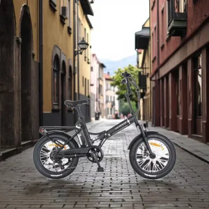 20-Inch Steel-Frame Hybrid Electric Fat-Tire Folding Bike, 250 W, 36 V, 7-Speed, 14 Ah Lithium Battery, Rear Hub Motor