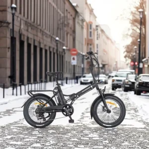 20-Inch Steel-Frame Hybrid Electric Fat-Tire Folding Bicycle, 250 W, 36 V, 7-Speed, 14 Ah Lithium Battery, Rear Hub Motor